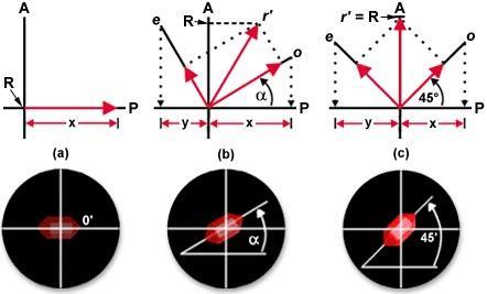 Pracovní režimy polarizačního mikroskopu Zhášení anizotropního krystalu (ortoskopické uspořádání) v ploše obecného řezu jsou dva vzájemně kolmé směry (dány rovinou polarizace řádného a mimořádného