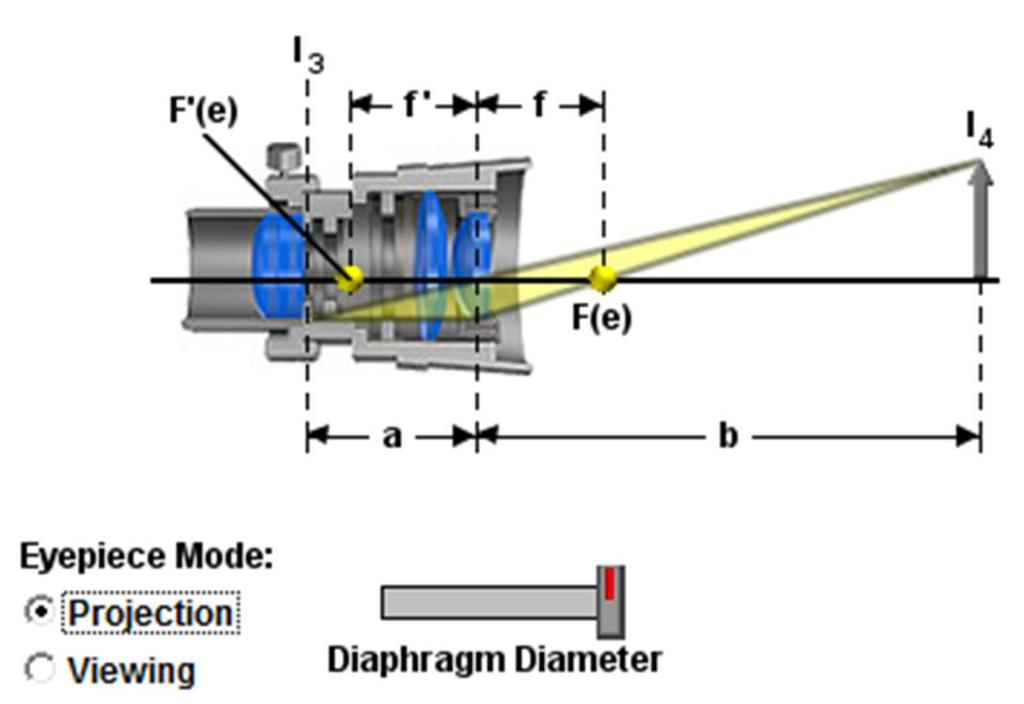 http://www.olympusmicro.com/primer/java/components/eyepiece/index.