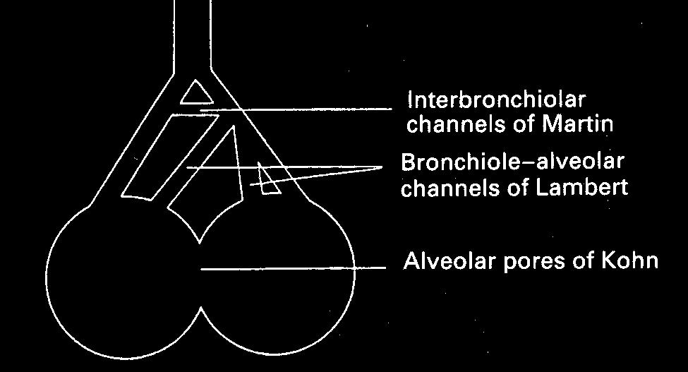 technik kontrolní dýchání - BC cvičení