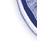 2018. 2. Hauser SL et al.
