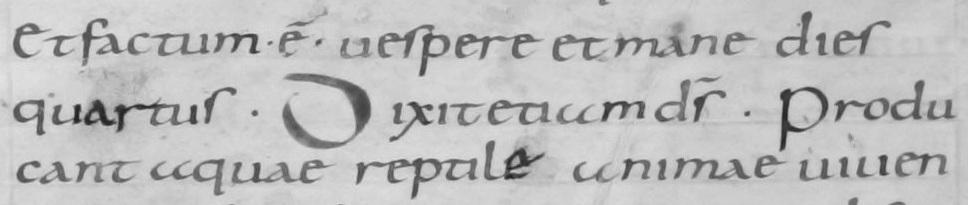 4. Minuscula uncială, semiuncială, carolingiană Paleografie Unele mâini de scris naţionale continuă să fie folosite în anumite teritorii şi după reforma carolingiană.