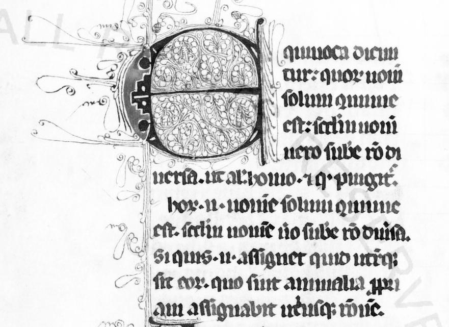 5. Minuscula gotică textuală Paleografie Temă pentru acasă Vatican, Bibliotheca Apostolica Vaticana, Borgh. 9, f.