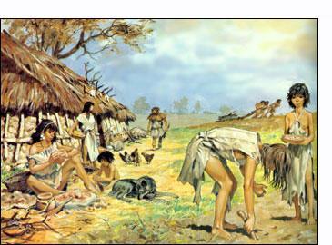 Úvod obiloviny v lidské výživě - historie Počátek systematického pěstování obilnin NEOLIT (mladší doba kamenná) zhruba 8000 5000 př.n.l. Doklady o konzumaci a zřejmě i pěstování a šlechtění prvotních kulturních trav a obilnin jsou ještě starší.