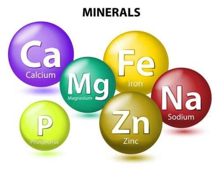 Minerály Rozdělení 1. Makroelementy (denní spotřeba je v gramech) 2.