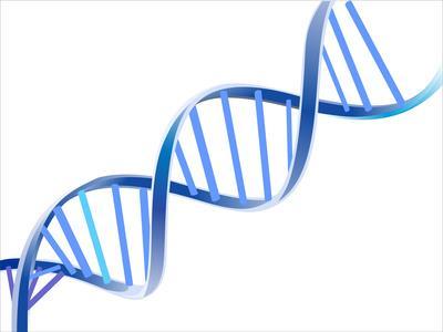 Genomová onemocnění u člověka od poč. 21. století dochází ke změně pohledu na příčinu některých genetických onemocnění genocentrický vs.