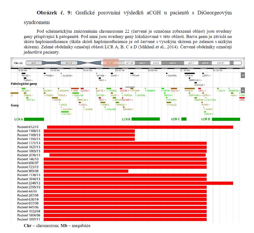 Rozsah mikrodelece 22q11 u 24 pacientů vyšetřených