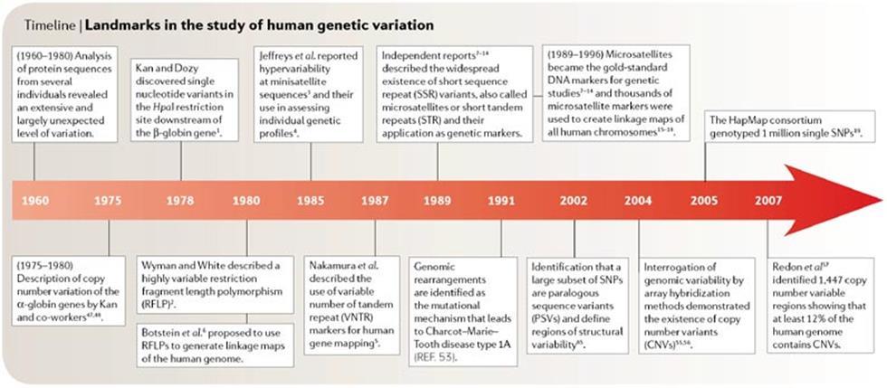 Array-CGH a objev nové genomové variability