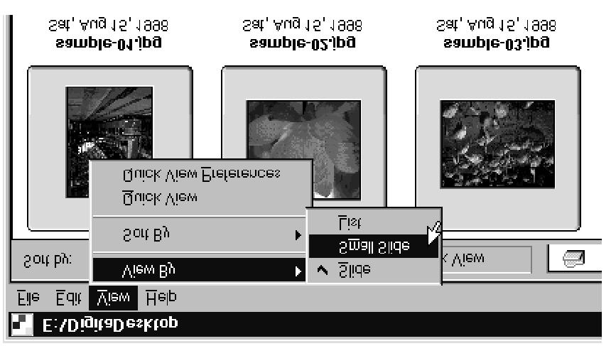 Náhledové okno Změna formátu zobrazení náhledů Náhledy snímků lze v Náhledovém okně podle potřeby zobrazovat jako náhledy (Slides), malé náhledy (Small Slides) nebo seznam (List). 1.