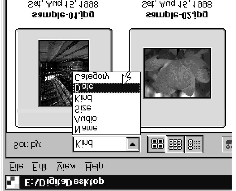 Náhledové okno Způsob řazení můžete zvolit i pomocí seznamu (místní nabídky Macintosh) Sort By na panelu nástrojů v Náhledovém okně.