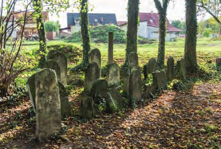 Jevíčko. Park se skupinou novějších náhrobků. The park with a row of newer tombstones. יביצ קו. פארק וקבוצת מצבות חדשות יותר. Jevíčko. Poslední zachované stély. The last well-preserved stelas.