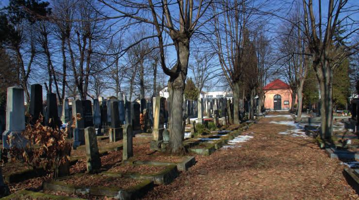 Pardubice. Hřbitov. / The cemetery. פרדוביצה. בית הקברות היהודי החדש. Jsou zde pochováni činovníci židovské obce např.