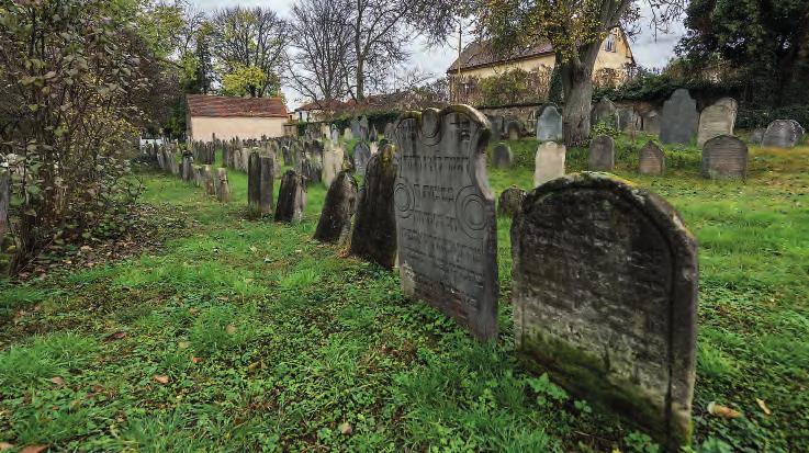 Heřmanův Městec. Pohled na hřbitov z jižní strany. / A view of the cemetery from the south. הר'מאנוב מסטץ. מבט על בית הקברות מדרום. vážkou vyvýšené straně jsou nejstarší dochované náhrobky.