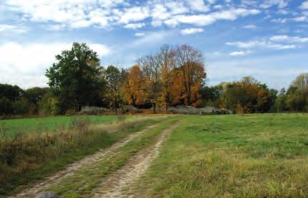 Přestavlky. Cesta ke hřbitovu. A road leading to the cemetery. Meisla. Přestavlky. Náhrobek Moritze פר סטאבלקי. הדרך לבית הקברות. The tombstone of Moritz Meisl. פר סטאבלקי. מצבת הקבר של מוריץ מייזל.