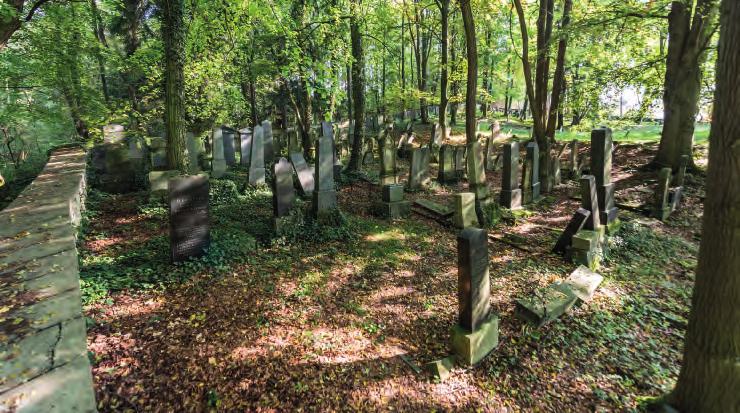 Luže. Hřbitov. / Cemetery. לוז'ה. בית הקברות. trických stél tzv. beraní roh. Nejnovější náhrobky z konce 19. a 20.