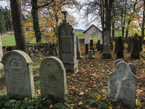 Dřevíkov. Náhrobky na lesním hřbitově. Tombstones in the forest cemetery. Již v 70. letech 20.