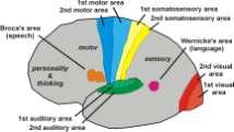 Úvod do neuropsychologie Martin Vyhnálek Centrum pro kognitivní poruchy, Neurologická klinika dospělých UK, 2.