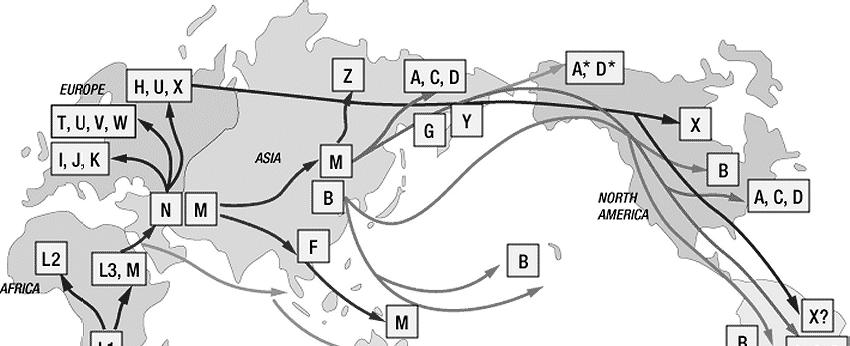 1) Jak to, že máme spole ného p edka 2) Metodika výzkumu mtdna 3) Analýza mtdna mitochondriálníeva, kdy a kde žila 4) Problémy a názory proti 5) Analýza chromozomu Y 6) Jak jsme osídlili sv t podle