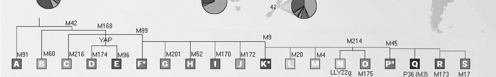 Problémy a názory proti 5) Analýza chromozomu Y 6)