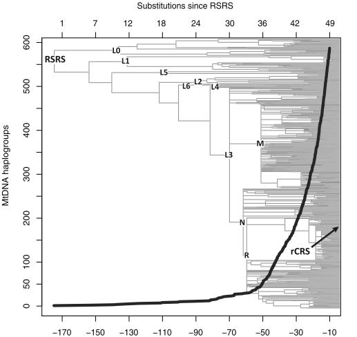 Výsledky poslední studie mtdna Celkový záv r Beharetal., 2012 mtdna lze použít jako bohatý zdroj genetických informací pro evolu ní studie, avšak s nevýhodou studia pouze evoluce ženské ásti populací.
