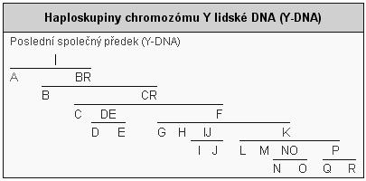 nichž známe ást n jaké sekvence mtdna a víme, že se liší mezi sebou v jednom nukleotidu Alice (A) Betty (G) Cindy (A) existují t i možnosti