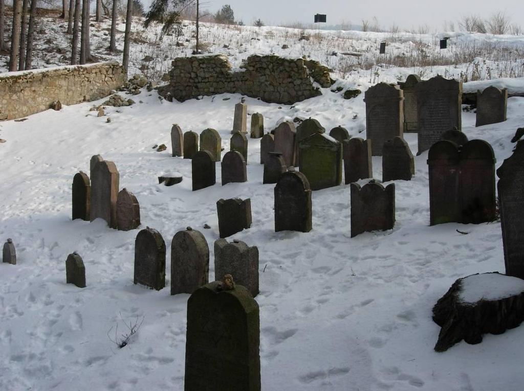 v lednu 2006.