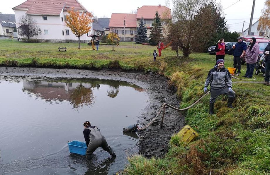 3. 11. 2018 V podzimním čase jsou obvyklé výlovy rybníků, a tak je tomu i u nás v Číhani. Výlov rybníka na návsi přilákal řadu zvědavců.