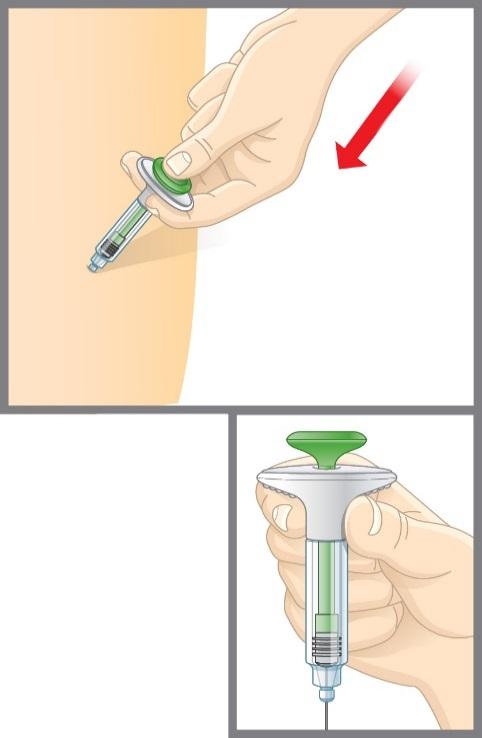 2d Stlačte píst. Stlačujte pomalu píst až na doraz, dokud není aplikován všechen lék. Šedý píst ve stříkačce musí být stlačen po celé své dráze až na konec stříkačky na straně jehly.
