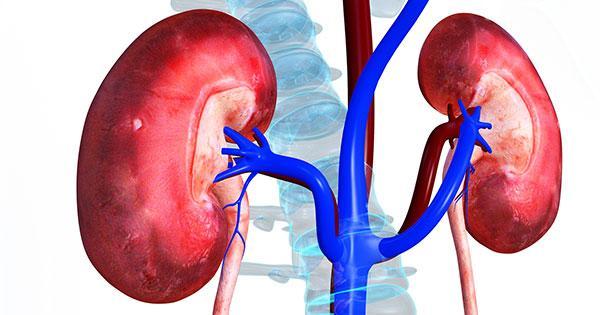 Opakované zhodnocení v průběhu stonání NÁROKY KAPACITA Tíže akutního