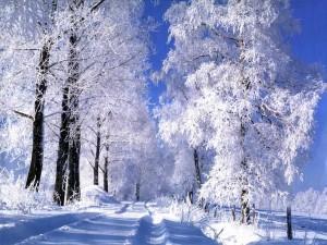 ZIMIČKA UŽ PRIŠLA OBSAHOVÝ CELOK ZIMIČKA UŽ PRIŠLA. Obsahový celok začíname charakteristikou zimy ako jedného z ročných období a oslavami zimných sviatkov.
