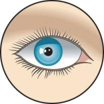 Postupy v naléhavých situacích: Pokyny pro první pomoc při práci s MDI Silou otevřete oční víčka Vyplachujte oči velkým