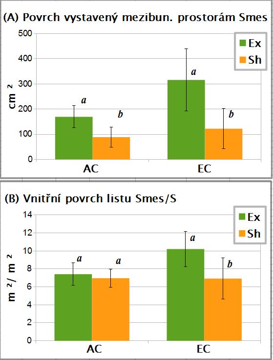 Výsledky Graf 4.7: (A) povrch mezofylu vystavený mezibuněčným prostorám, Smes, (B) vnitřní povrch listů buku lesního odebíraných v roce 2012.