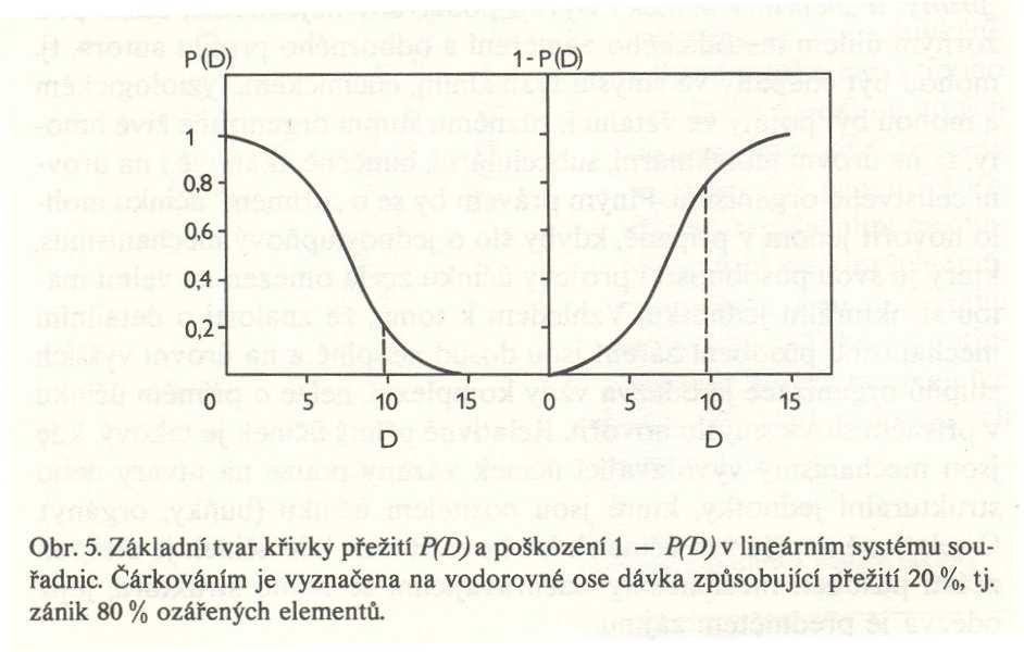 Křivky