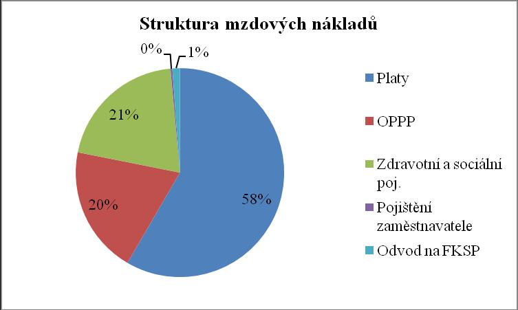 Protoţe mzdové náklady a jejich struktura se ve sledovaném období prakticky nemění, nemá smysl uvádět je zvlášť pro jednotlivé roky.