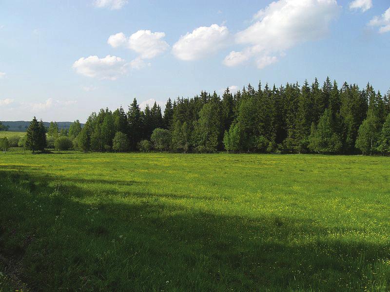 zde žijící. Chráněny jsou i neživé části přírody (např. jeskyně). Zvláštní ochrana (Zdroj: www.s.topkontakt.