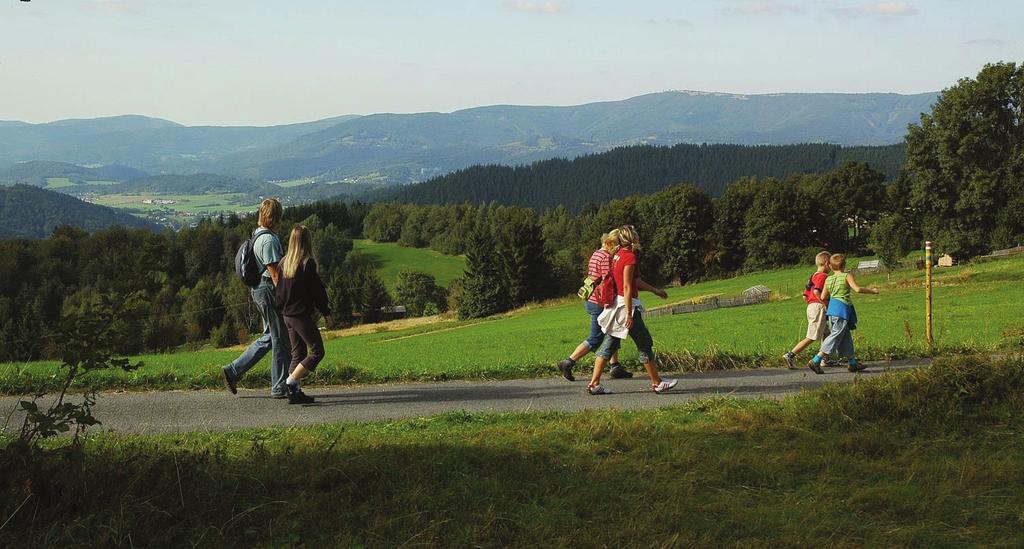 Na severozápadě kraje se táhnou Krušné hory, na jeho jihozápadní hranici Český les.