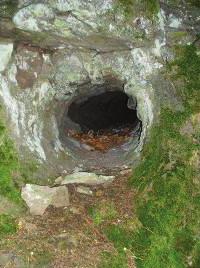 Ze vzácných živočichů v okolí pravidelně loví čáp černý. Přírodní památka Olšová vrata je skalní ostroh nad údolím Ohře nad obcí Šemnice.