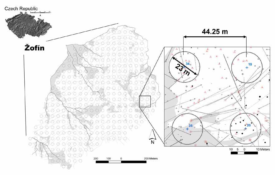 Šebkova B., Šamonil P., Valtera M., Adam D., Janík D. 2012. Interaction between tree species populations and windthrow dynamics in natural beech-dominated forest, Czech Republic.