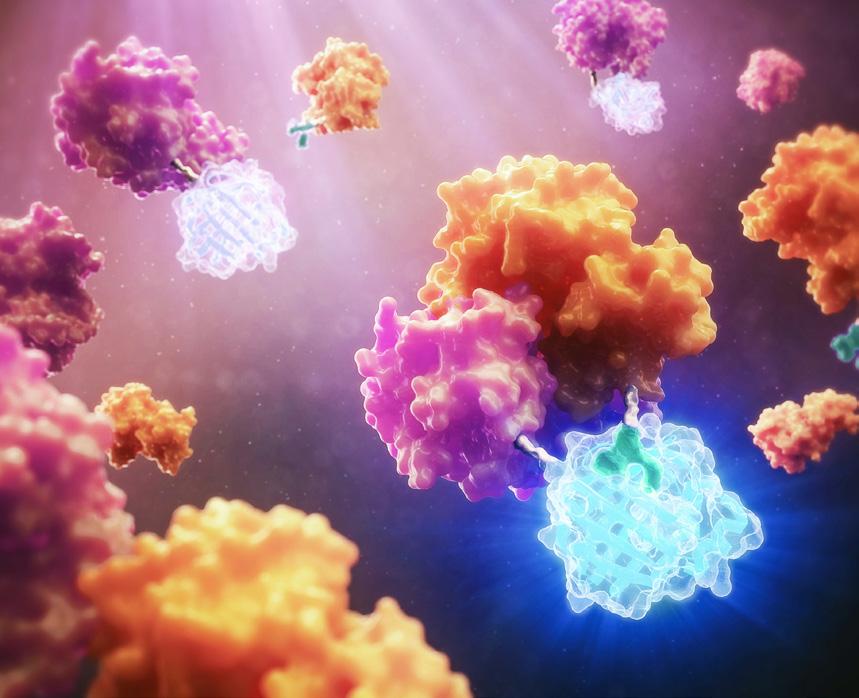 produtku - vysoká koncentrace buněk výrazně snižuje nebo úplně eliminuje potřebu použití séra, které dovoluje použití chemicky definovaného či protein-free média lnižší spotřeba média lširoká škála