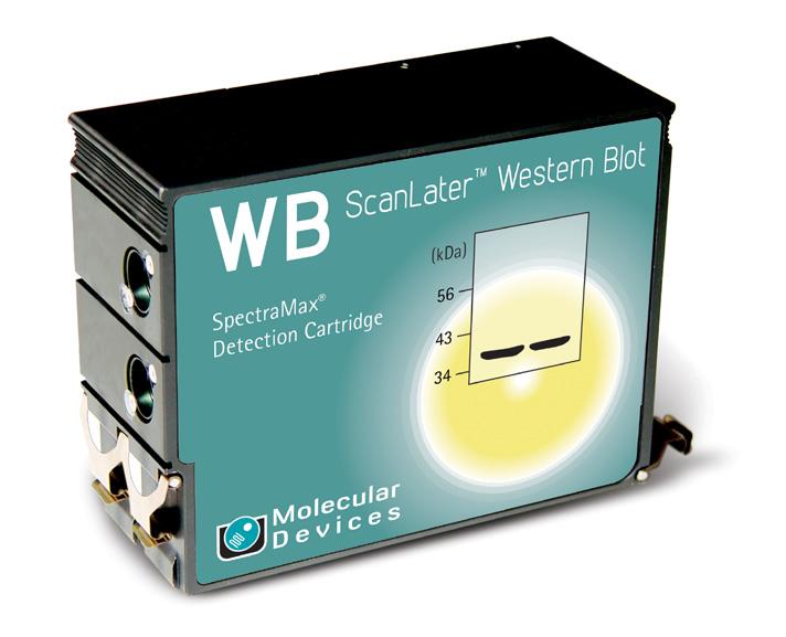 Vizualizace buněk a identifikace proteinů nově pomocí mikrodestičkového multimode readeru SpectraMax ID3 (Molecular Devices) SpectraMax i3x je nejflexibilnější multidetekční platforma na trhu.