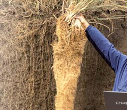 ZLEPŠENÍ STRUKTURY P DY A TVORBA HUMUSU Biostimulátor vitálních funkcí p dy Ozdravte p du, zadrží více vody Principy ú inku