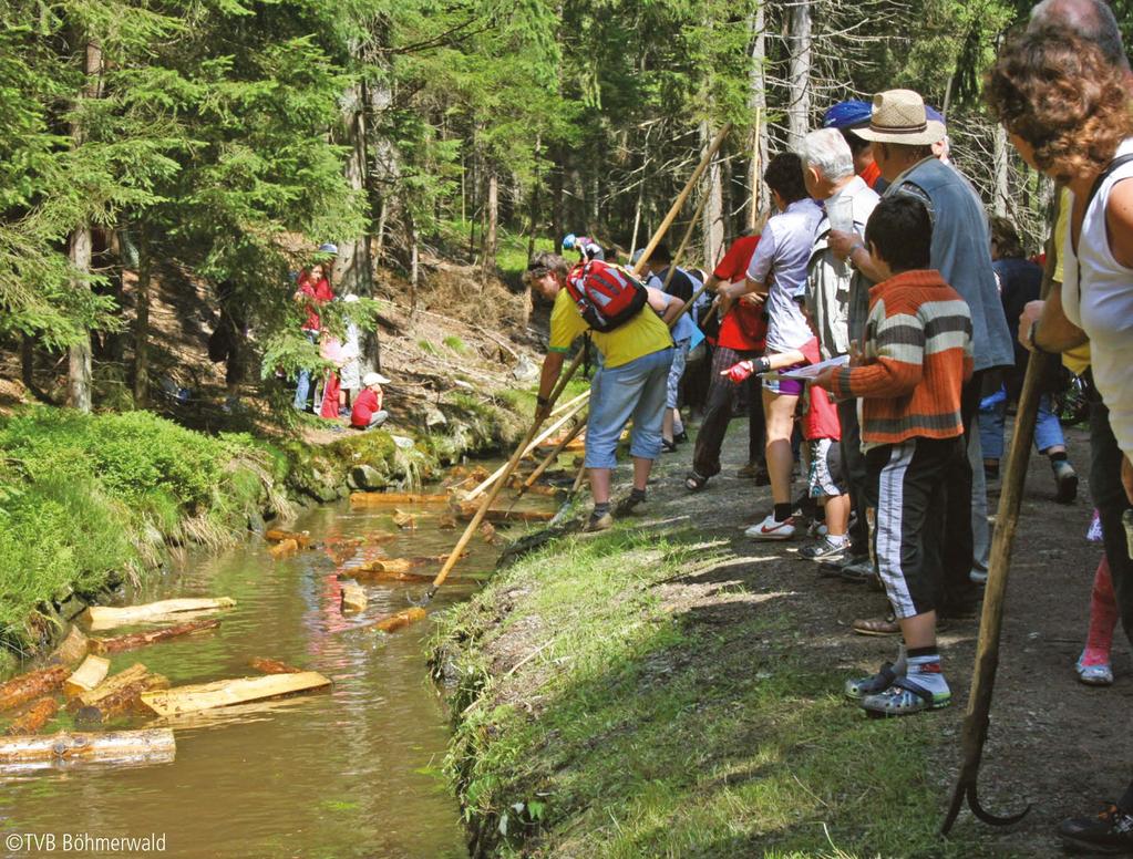 Priorita 4: Udržitelné sítě a institucionální spolupráce V posledních letech se v česko -rakouském pohraničí vyvinuly velmi dobré a plodné sousedské vztahy, a to nejen v rámci stávajících