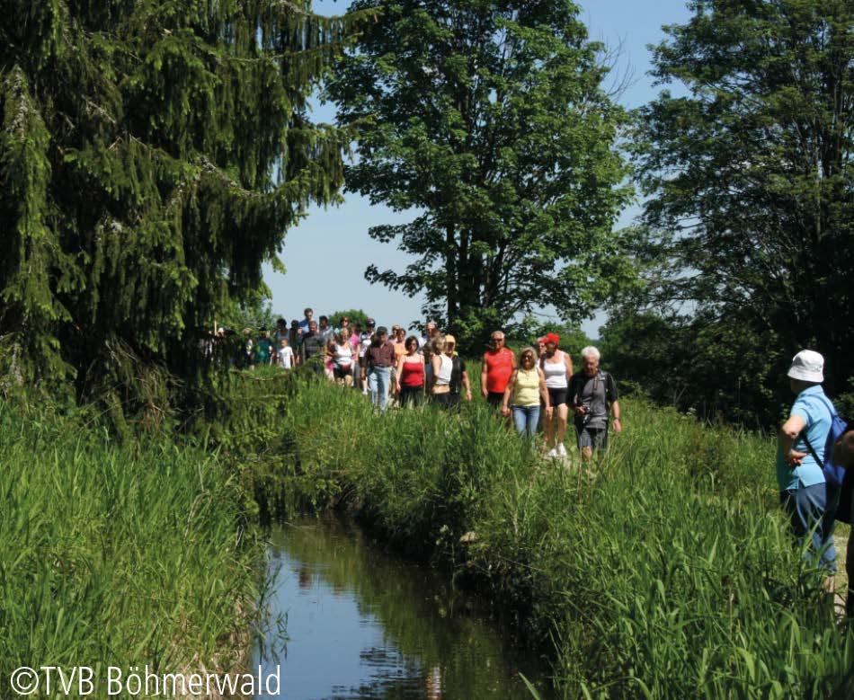 Priorita 2: Životní prostředí a zdroje Česko -rakouské pohraničí disponuje bohatým přírodním a kulturním dědictvím.