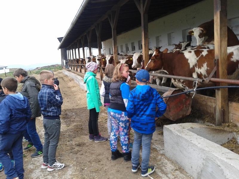 2016 rozprávali svoje zážitky, postrehy a opisovali zvieratá, ktoré tam videli.