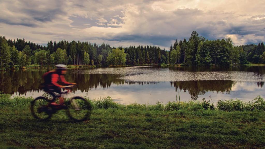 Rychlebské stezky: skvělé cyklotraily pro pohodáře i ostřílené drsňáky Cyklistický trail v Rychlebských horách rozhodně není zadarmo, přesto láká stále více nadšenců.