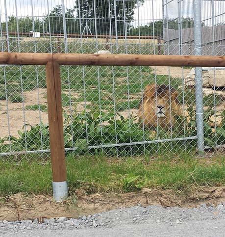 jednoduchá montáž Dřevěné prvky jsou naimpregnovány vakuotlakovou