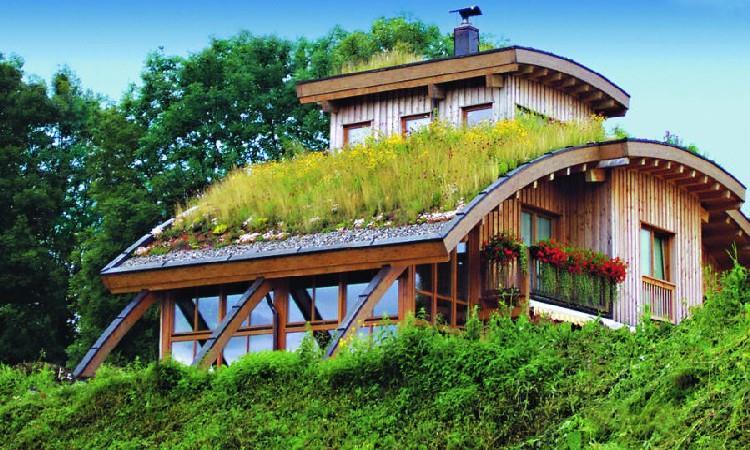 2.Zelené střechy Zelená střecha je střecha částečně nebo zcela pokrytá vegetací a půdou, nebo pěstebním substrátem vysazovaným nad hydroizolační membránu.