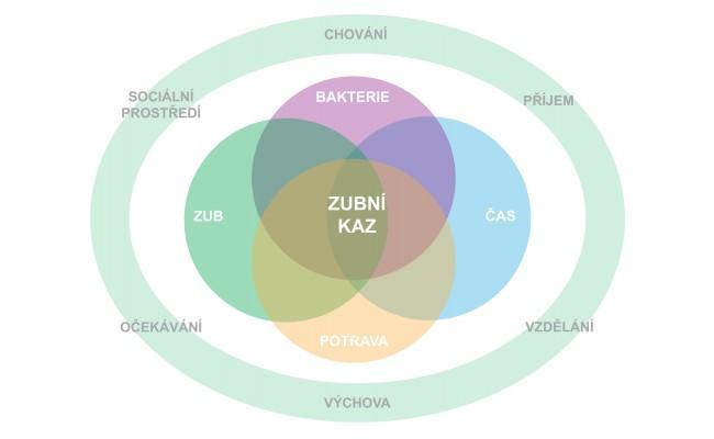 3. Zubní kaz Nejčastějším onemocněním tvrdých zubních tkání je zubní kaz.