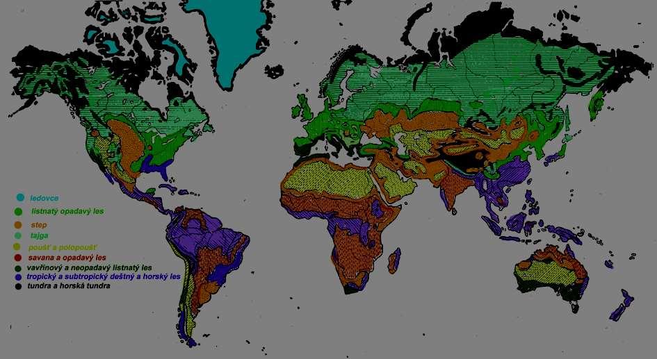 KLIMATICKÉ PÁSY ZONÁLNÍ BIOMY PŘEHLED