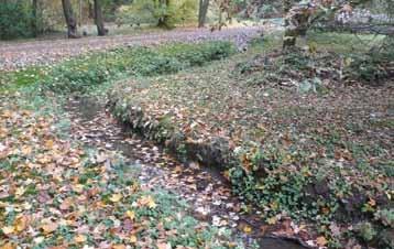 Přítok potoka Cibulka Suchý poldr Interlov - díky hrázi vysoké 4,5 m a délce poldru 83 m může vytvořit plochu hladiny 12 559 m 2.