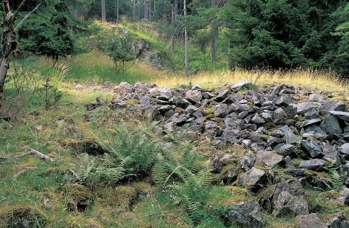 PlzeÀsko a Karlovarsko GEOLOGIE Rezervace se rozprostírá na zbytcích star ch hadcov ch lomû. Zdej í hadce byly aï do. ãtvrtiny 0.